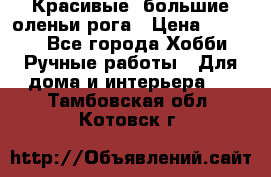 Красивые  большие оленьи рога › Цена ­ 3 000 - Все города Хобби. Ручные работы » Для дома и интерьера   . Тамбовская обл.,Котовск г.